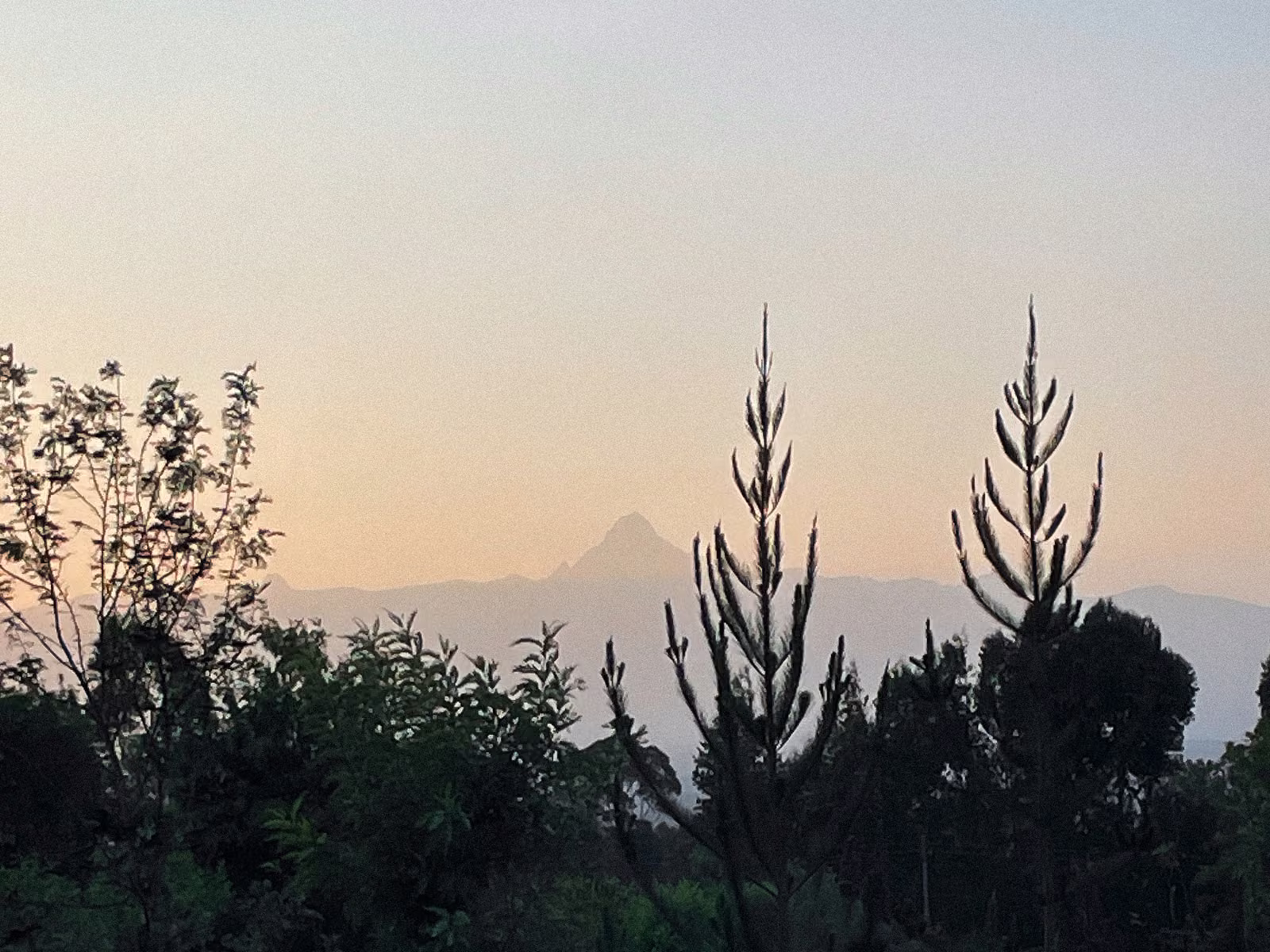 The peak of Mt Kenya at dusk, seen from the property