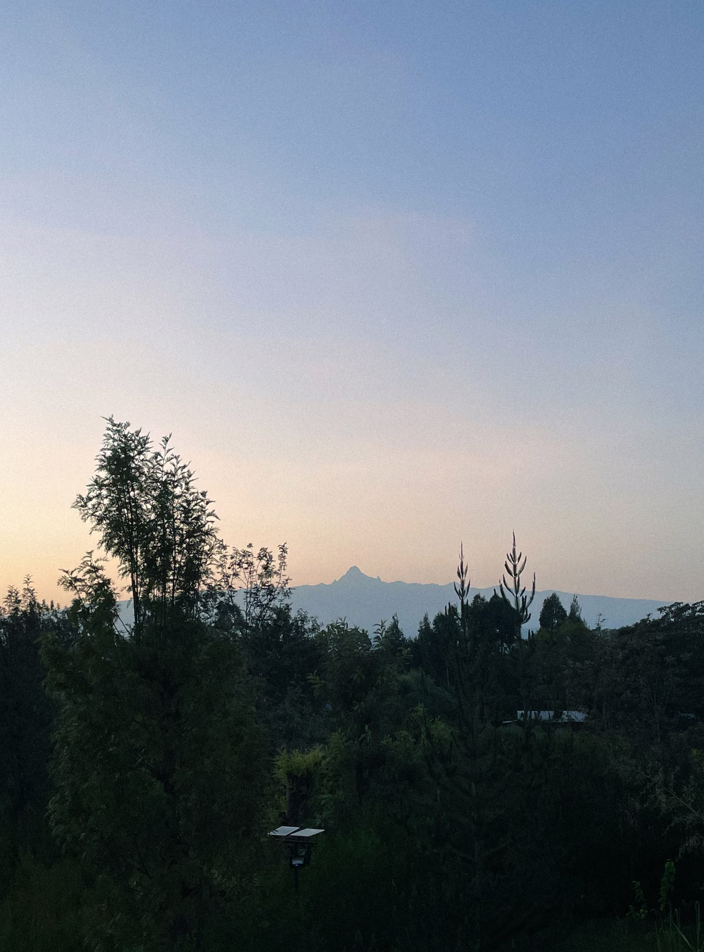 Mount Kenya at dusk, seen over the trees from the house
